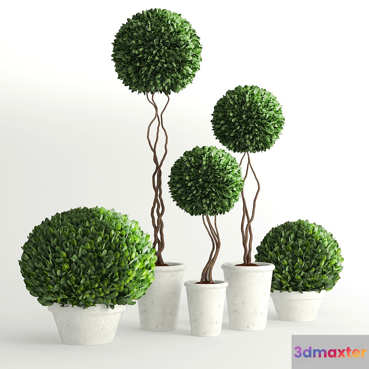 Collection of Plants 2