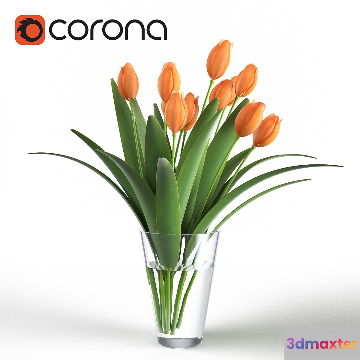 Bouquet of tulips in a glass vase 3D Max