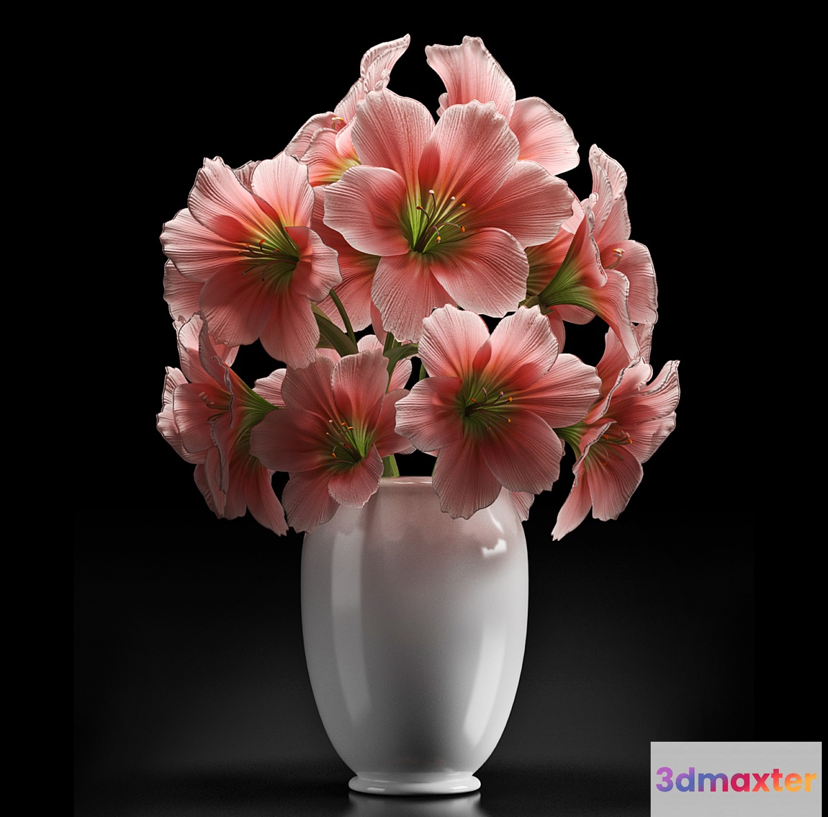 PINK AMARYLLIS - No.2