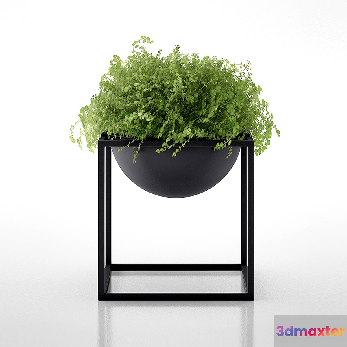 Kubus Black Bowl with clover by Lassen