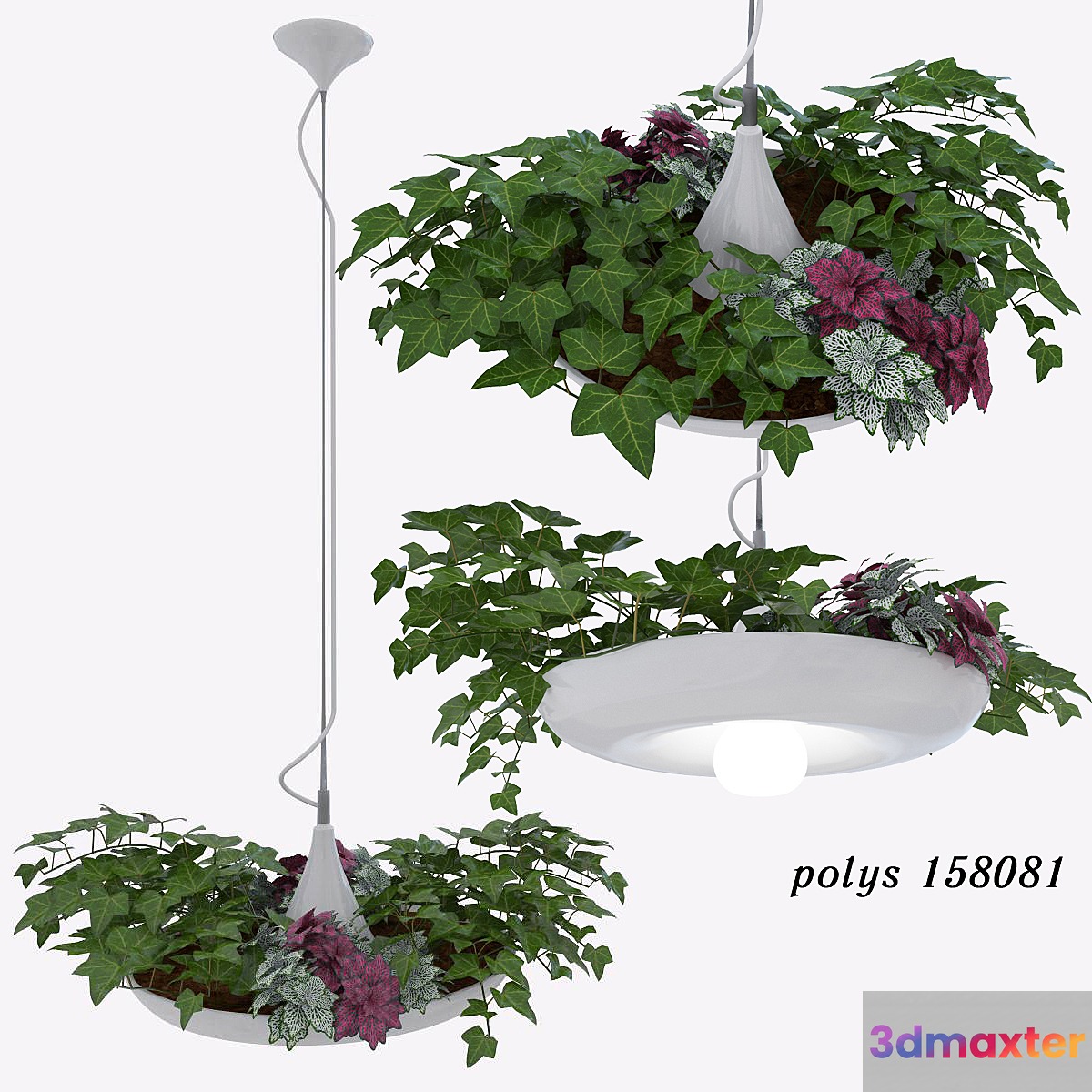 Babylon Plantable Lamp vol1