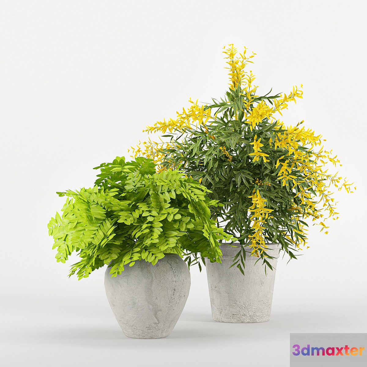 Flowers 3D Max