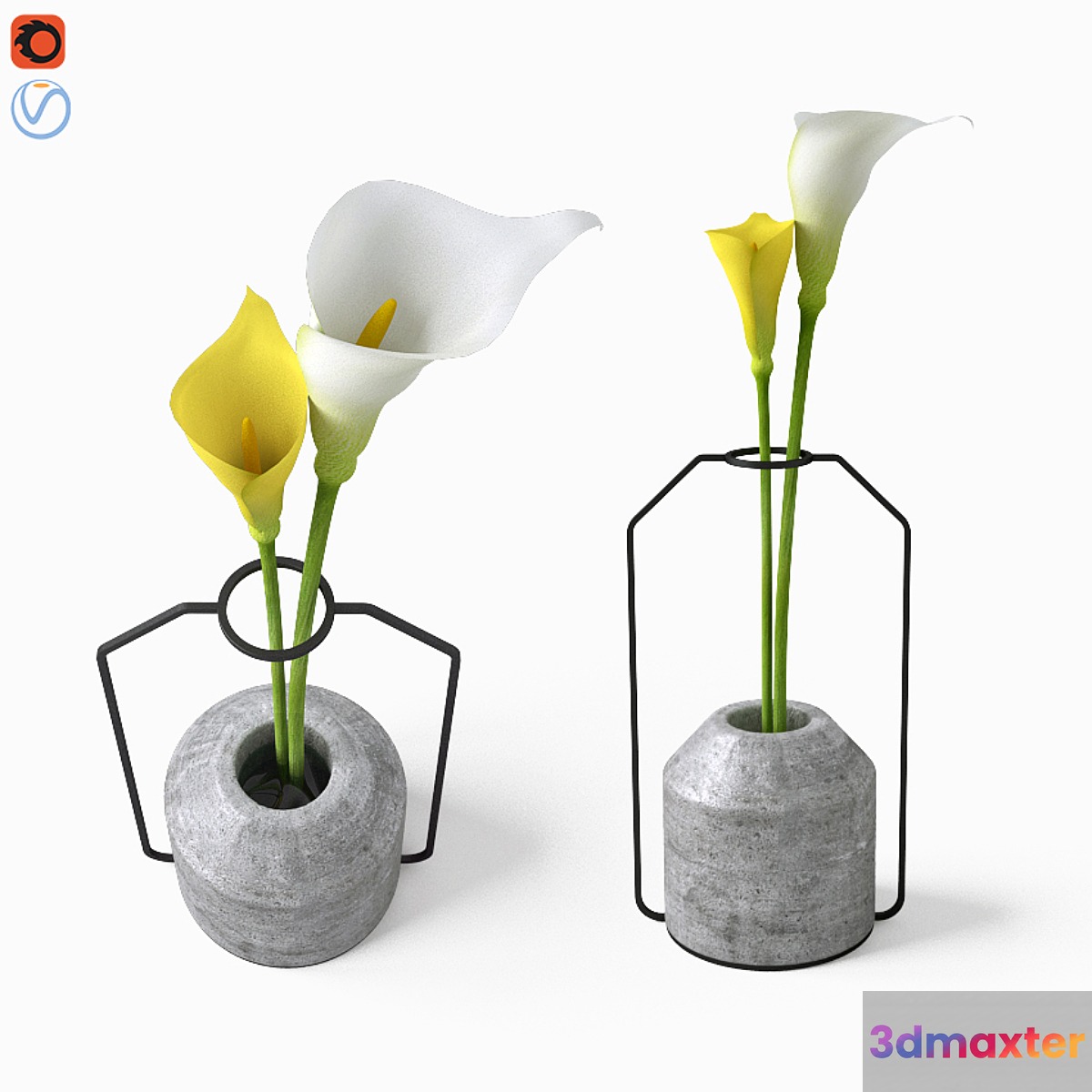 Calla in Weight Vases by Decha Archjananu _ Callas