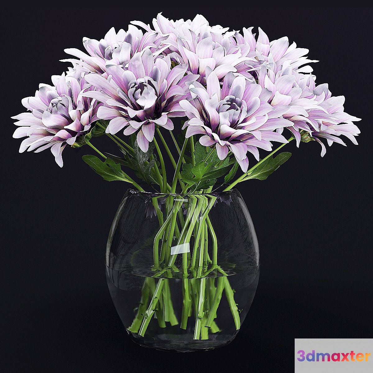 Chrysanthemums 3D Max