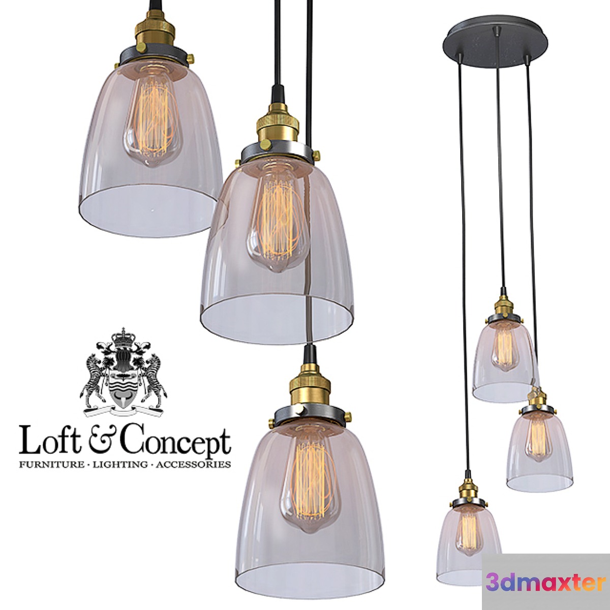 Suspension Loft Clear Glass Cloche 3 3D Max