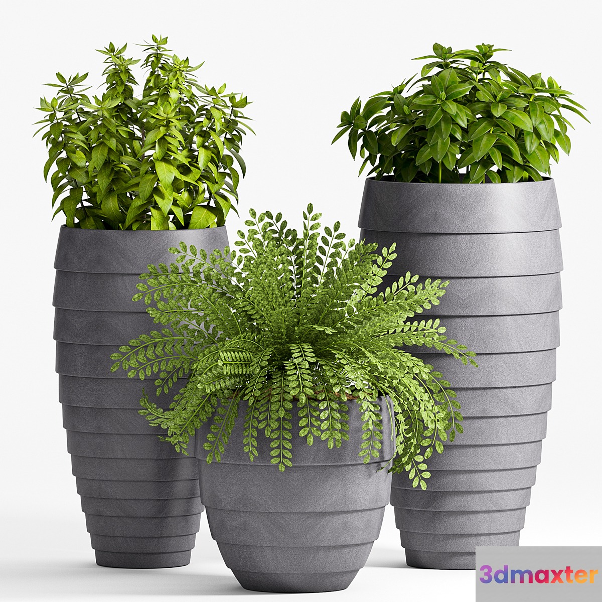 Plant Set -25 - No.2