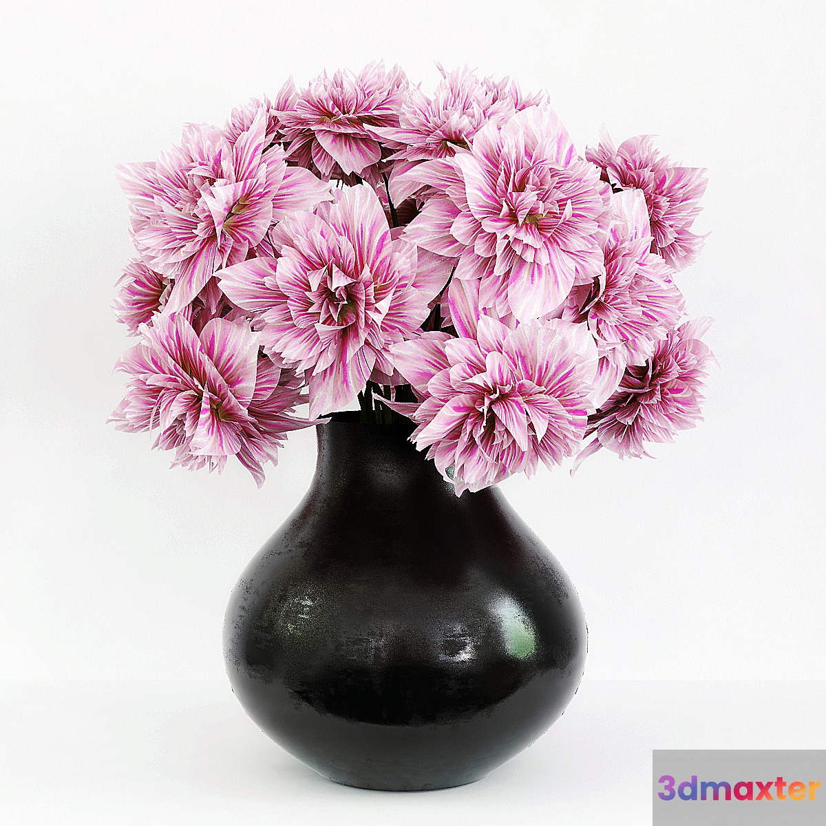 Dahlia 3D Max