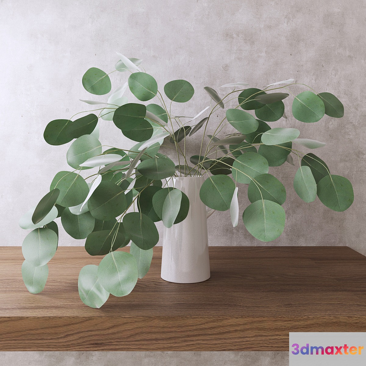 Silver Dollar Eucalyptus