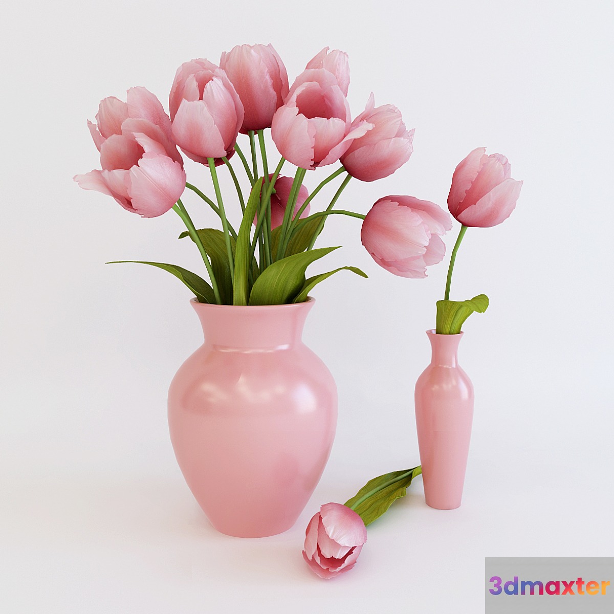 Pink tulips