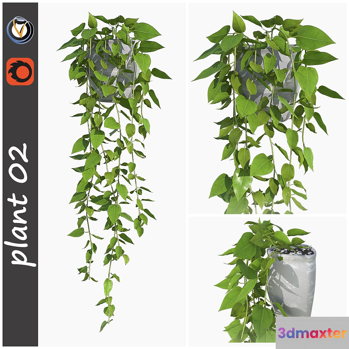 plant 02