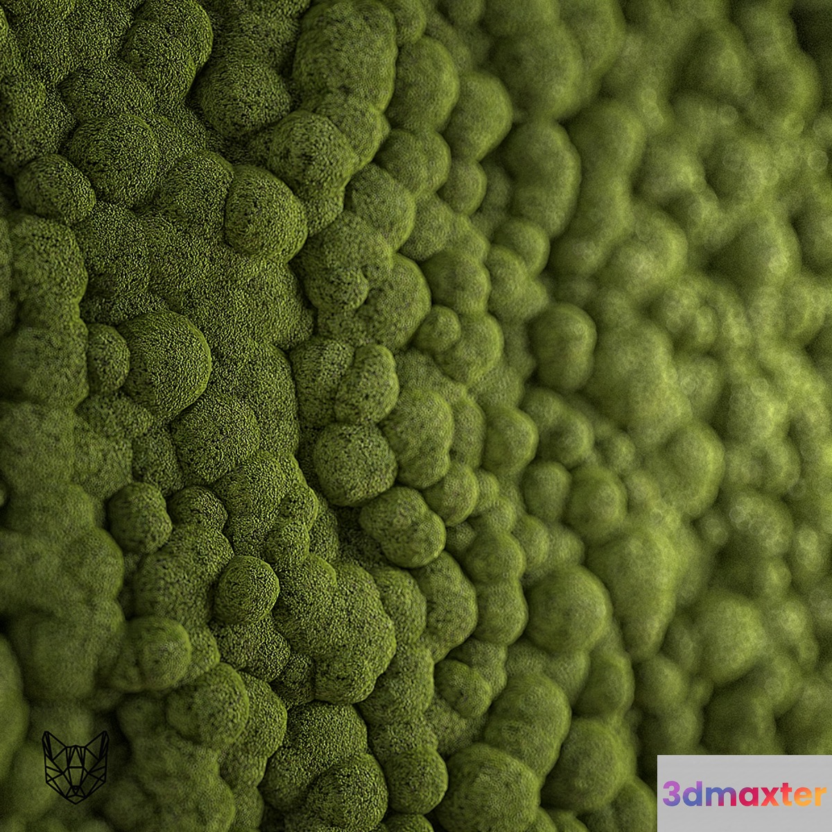 moss