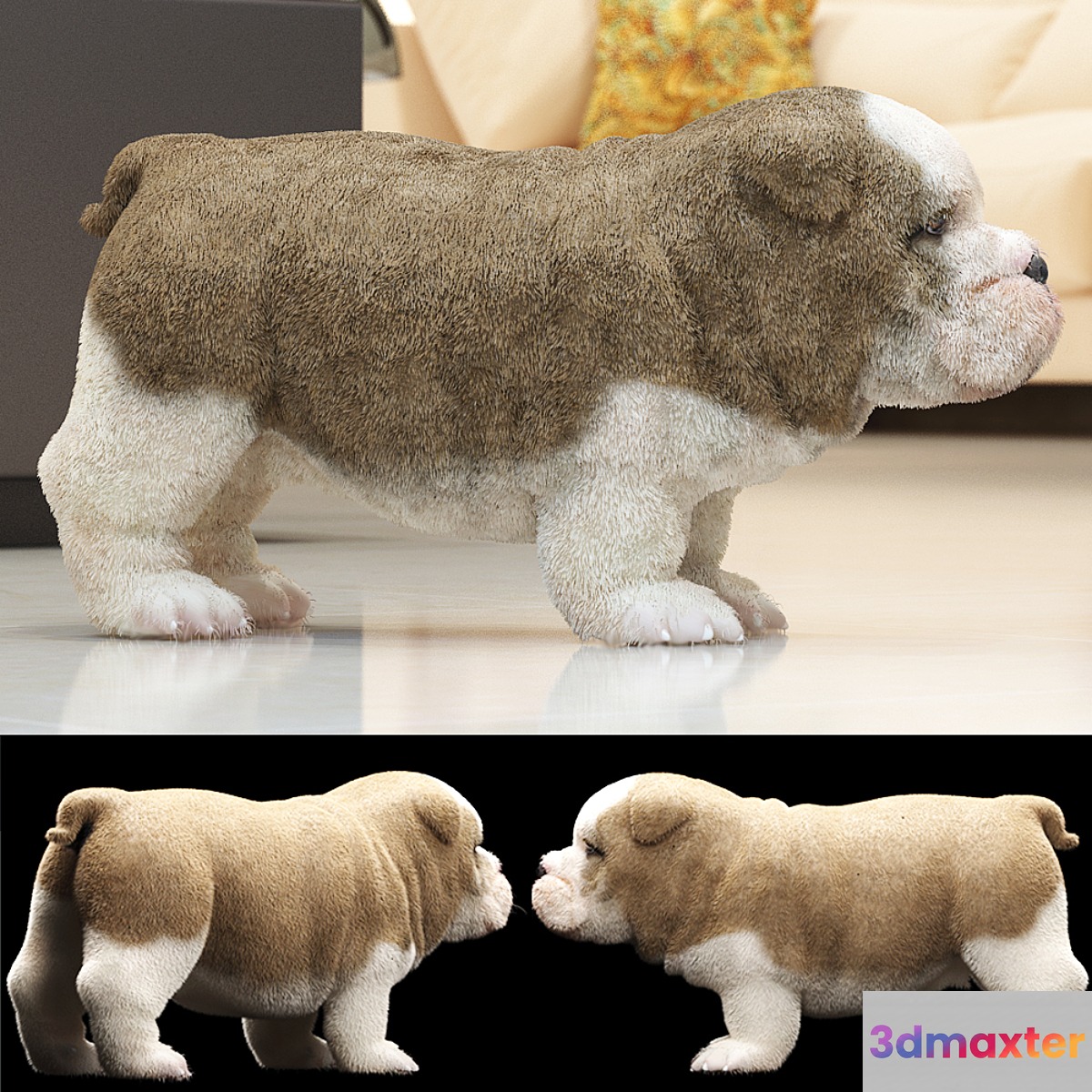 ENGLISH BULDOG PUPPY 3D Max