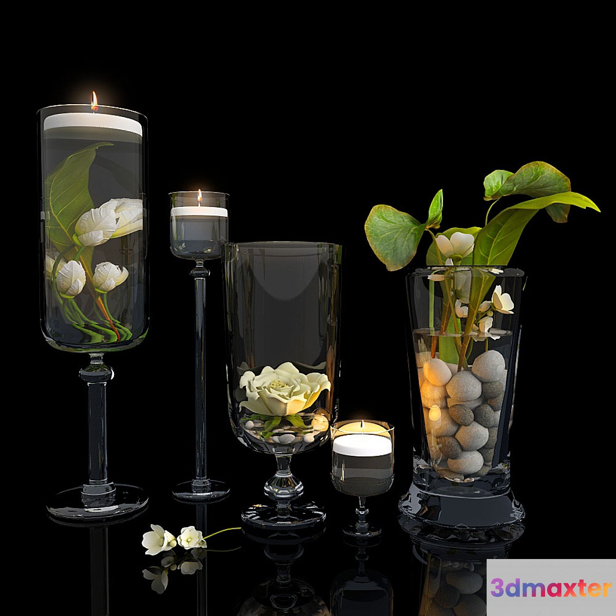 Plants in glass vases