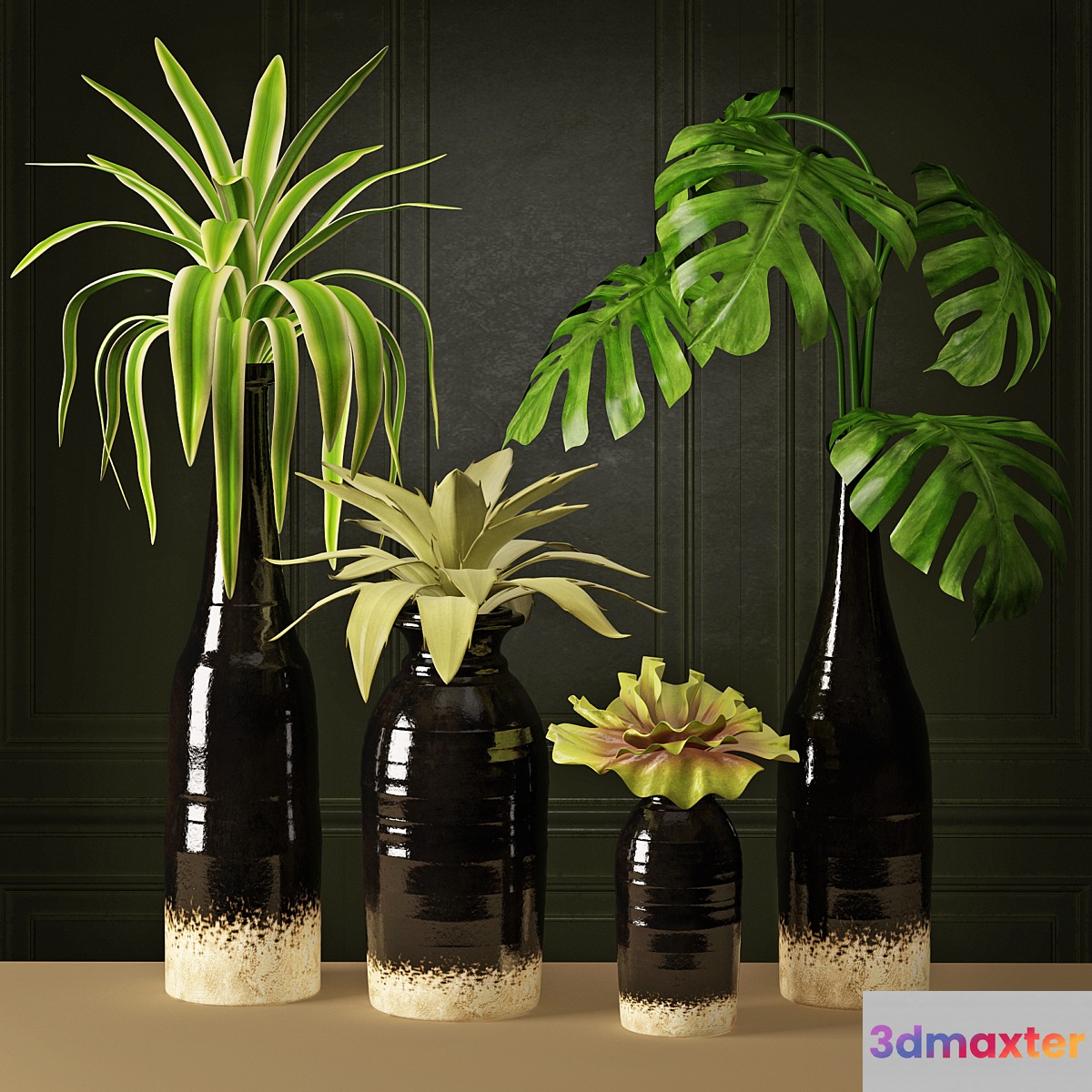 Plant Arrangement