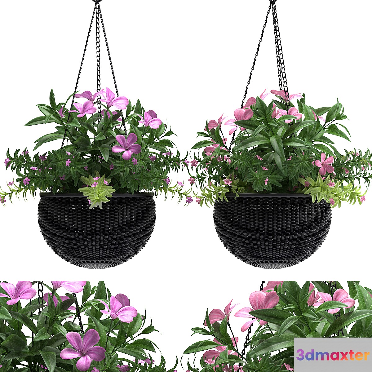 HANGING BASKET