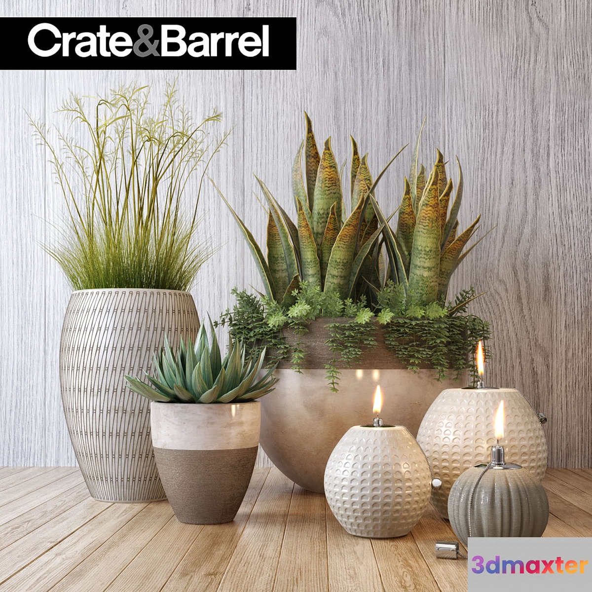 Crate&Barrel plant set - No.3