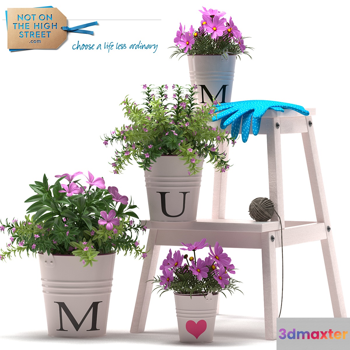 PLANTS 41