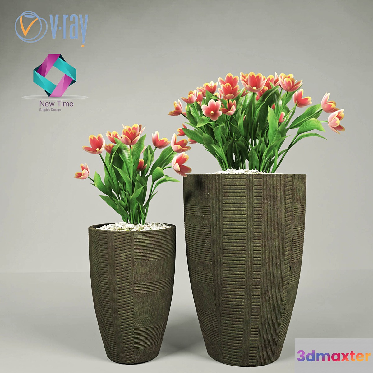 Pot flower