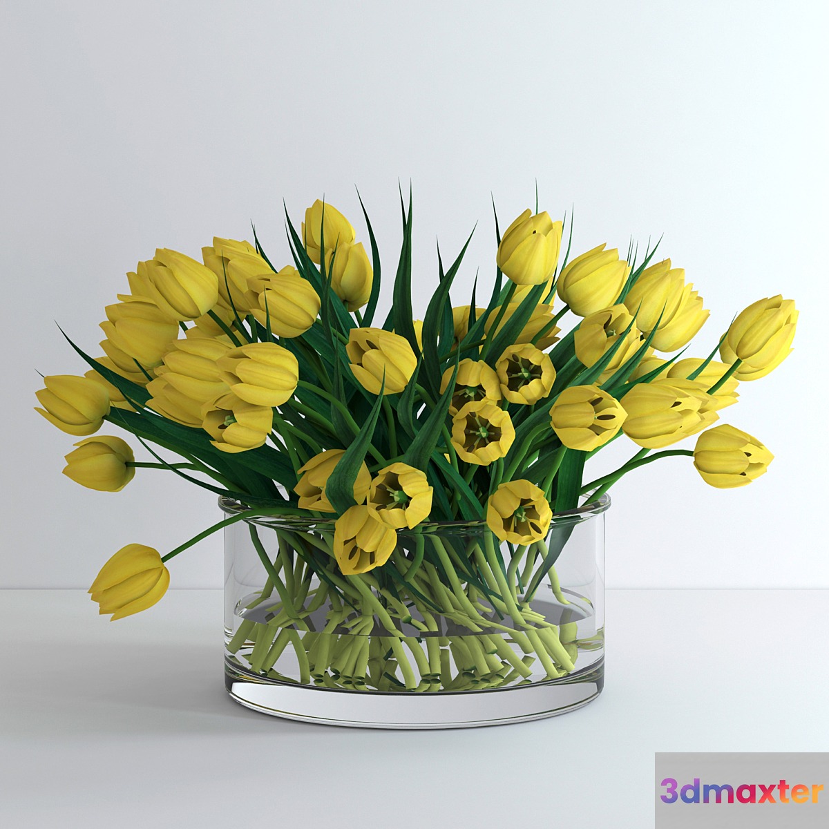 Yellow tulips _ Yellow tulips 3D Max