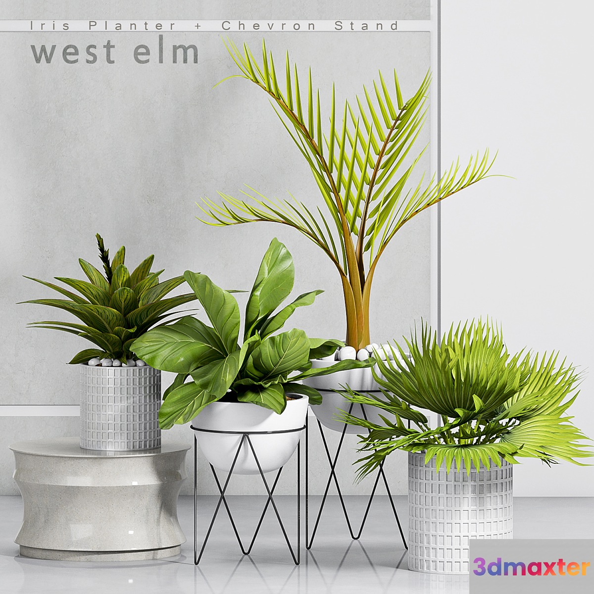 PLANT -30
