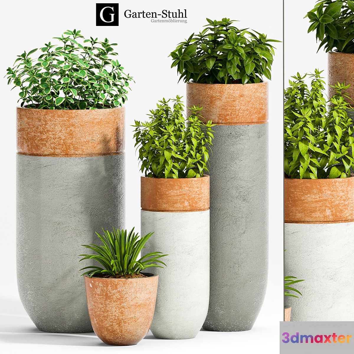 PLANT -35