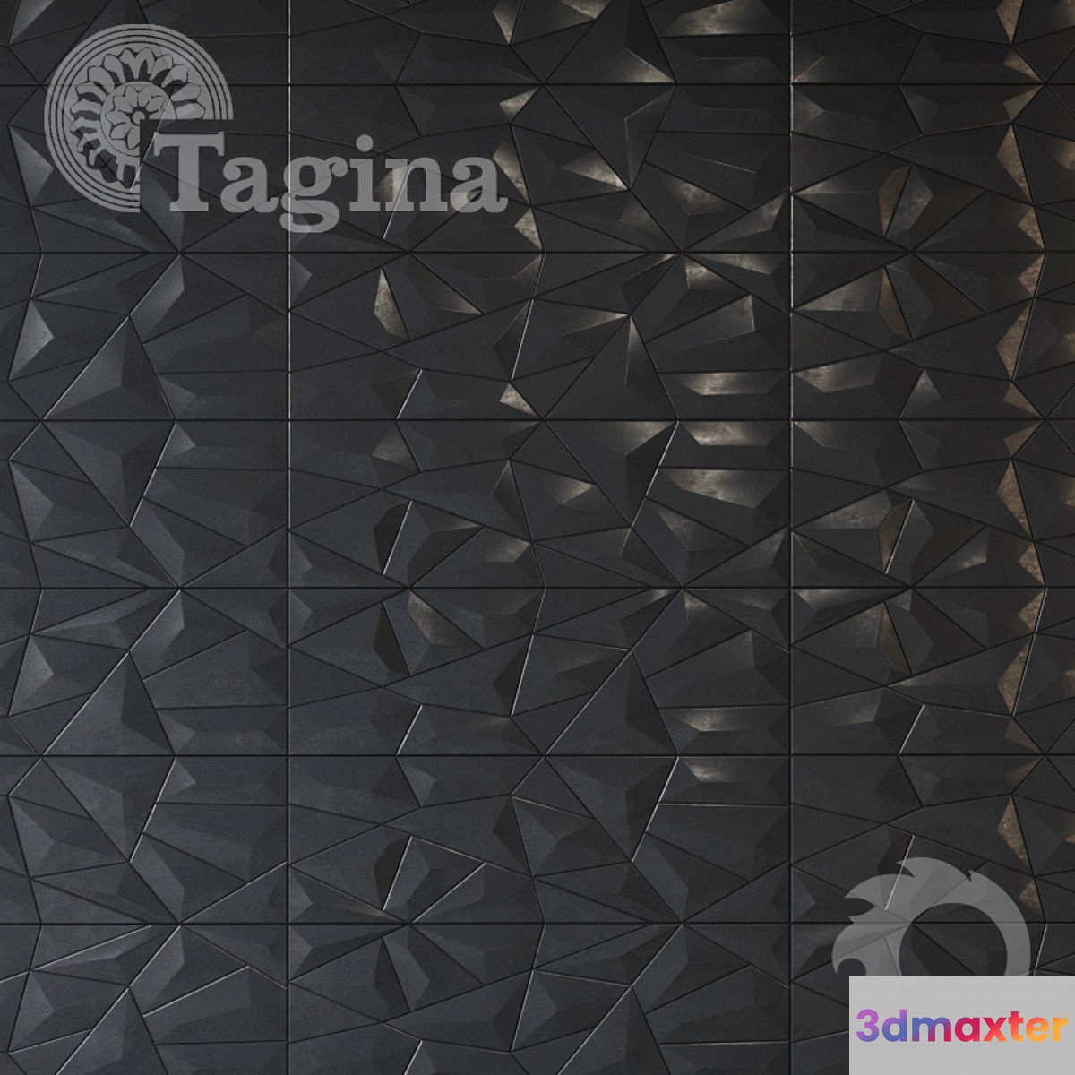 Tagina Detail colection