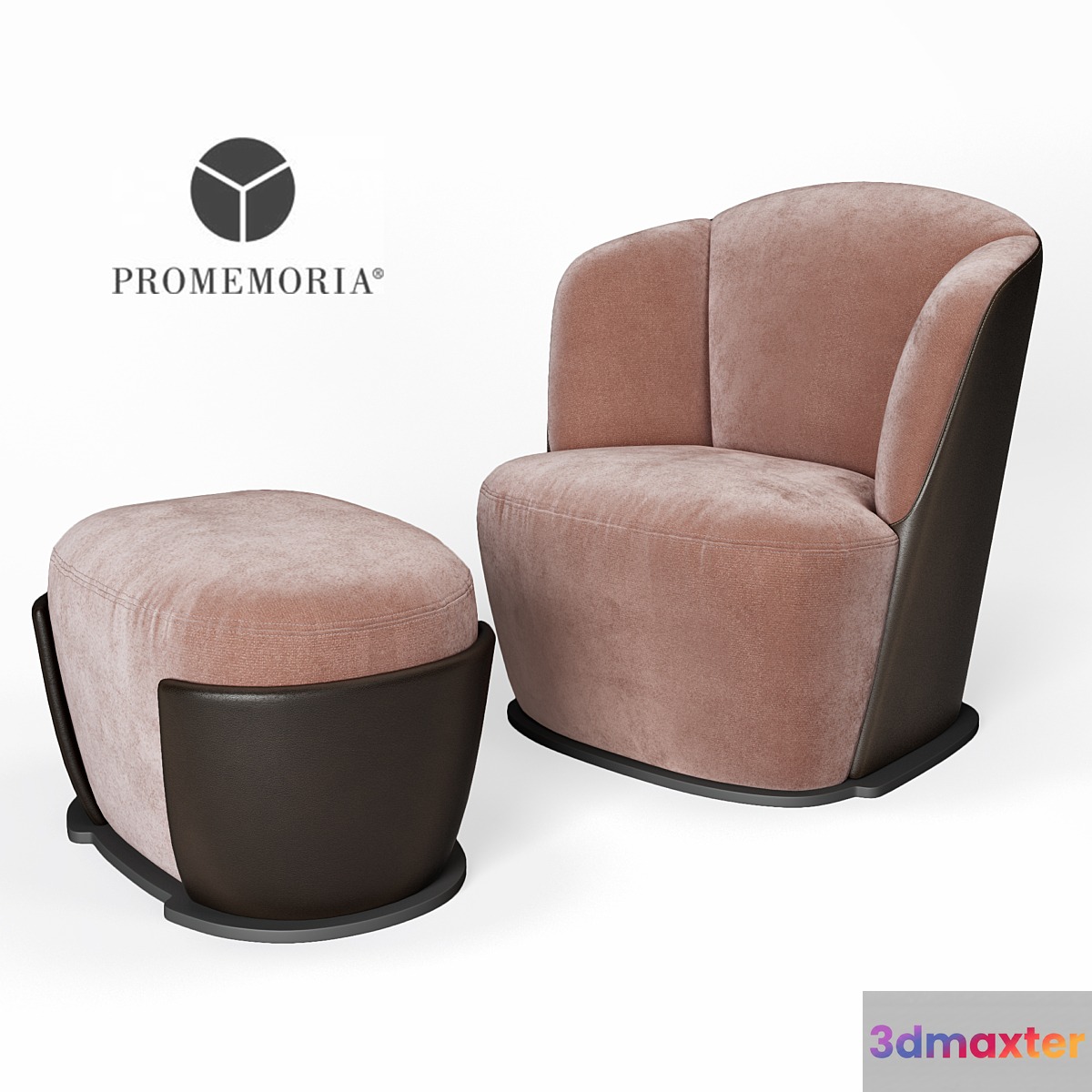 PROMEMORIA Rosaspina 3D Max