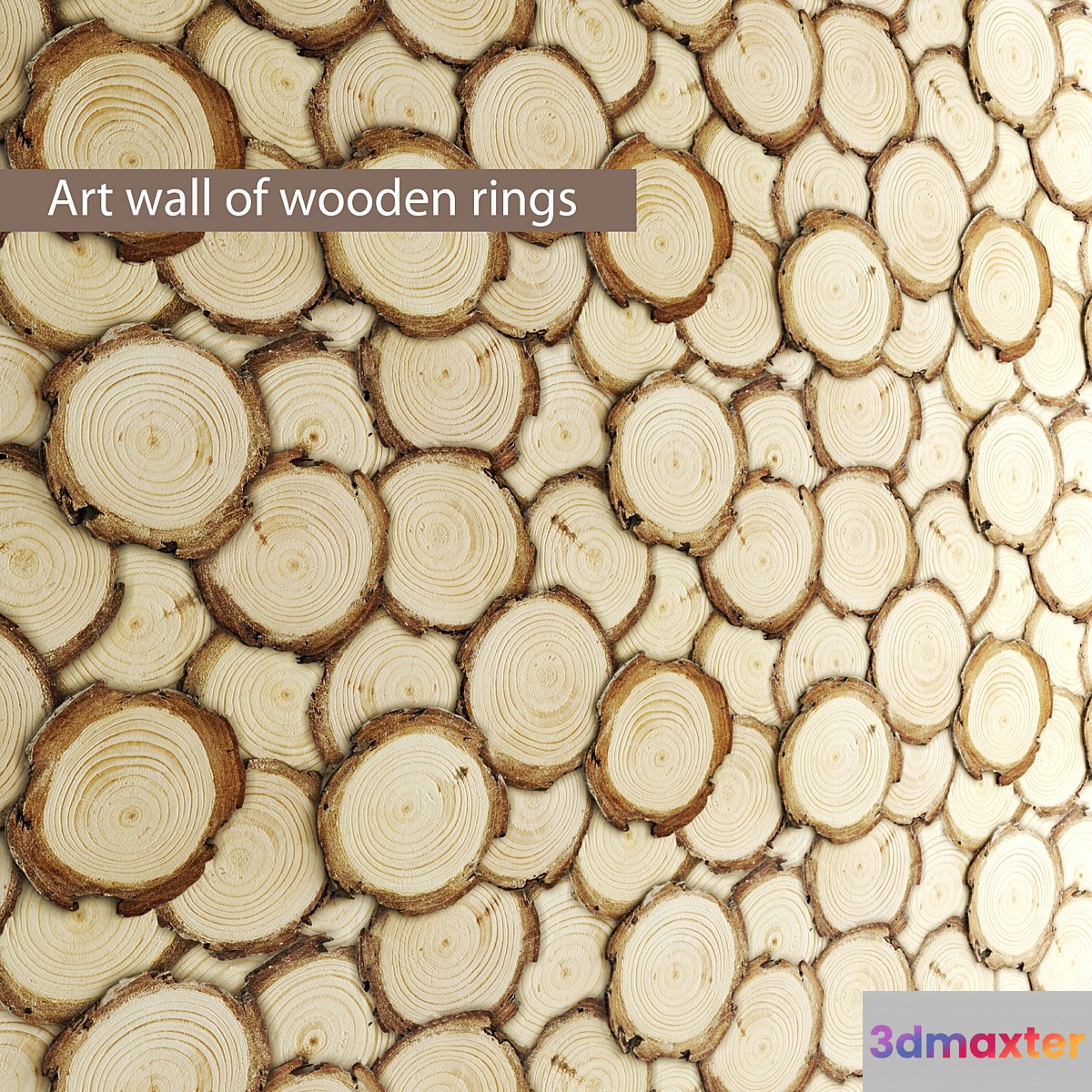 Art wall of wooden rings wall decor disks eco eco design panels 3D Max