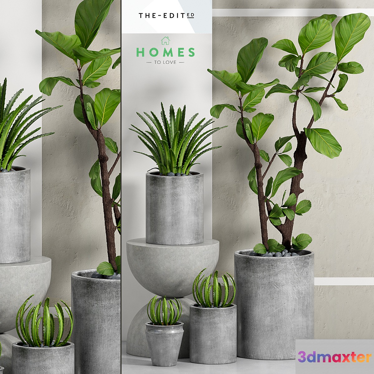PLANT -36