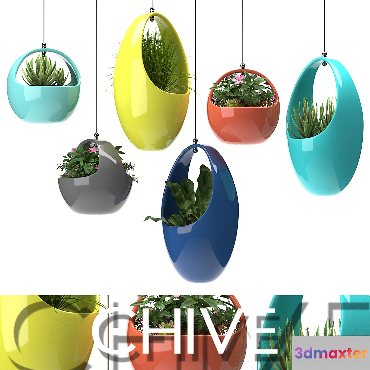 PLANTS 48