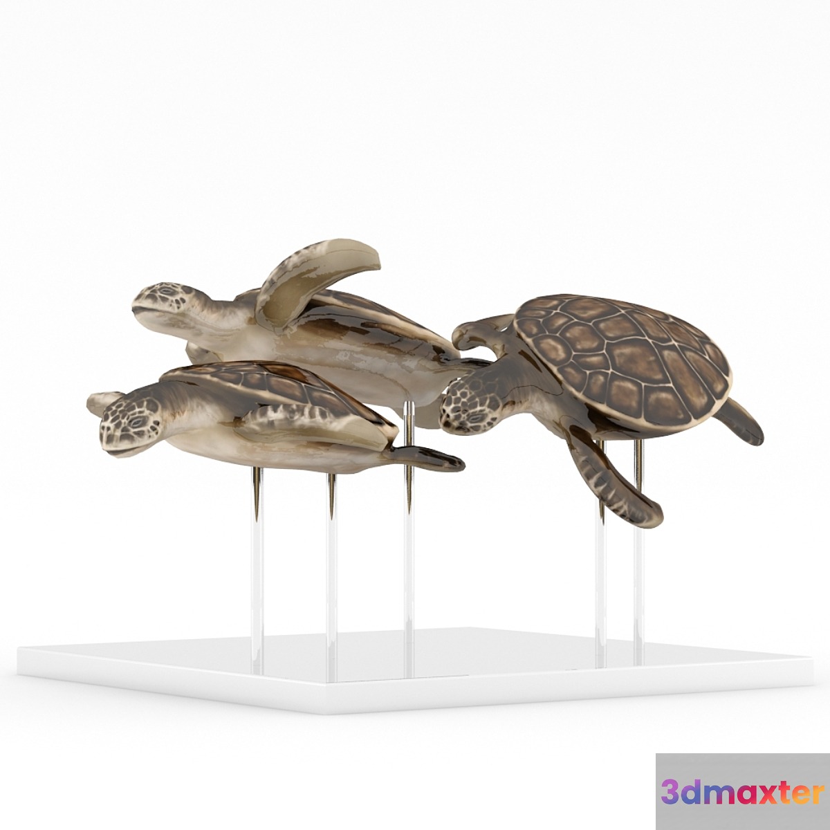 Turtles