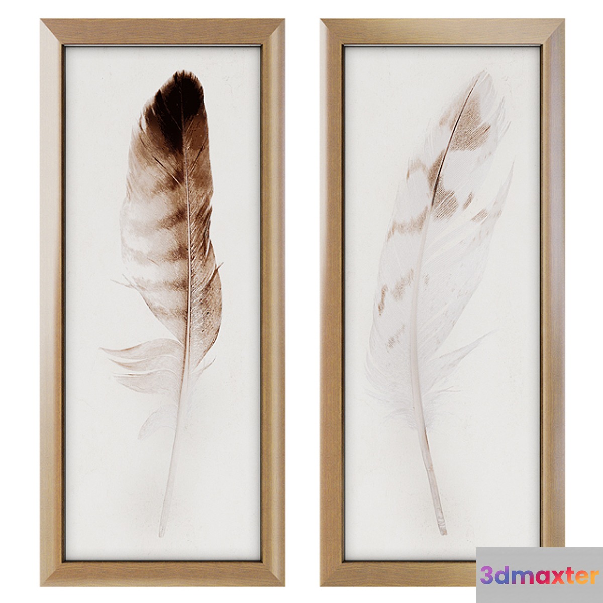 Feather Panel Framed Art Print
