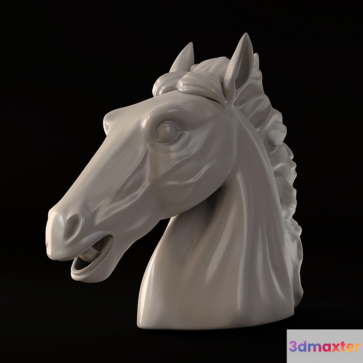 Horse Head