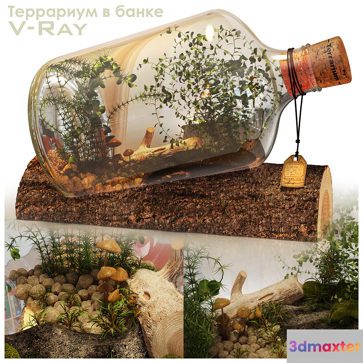 Terrarium in a Bottle