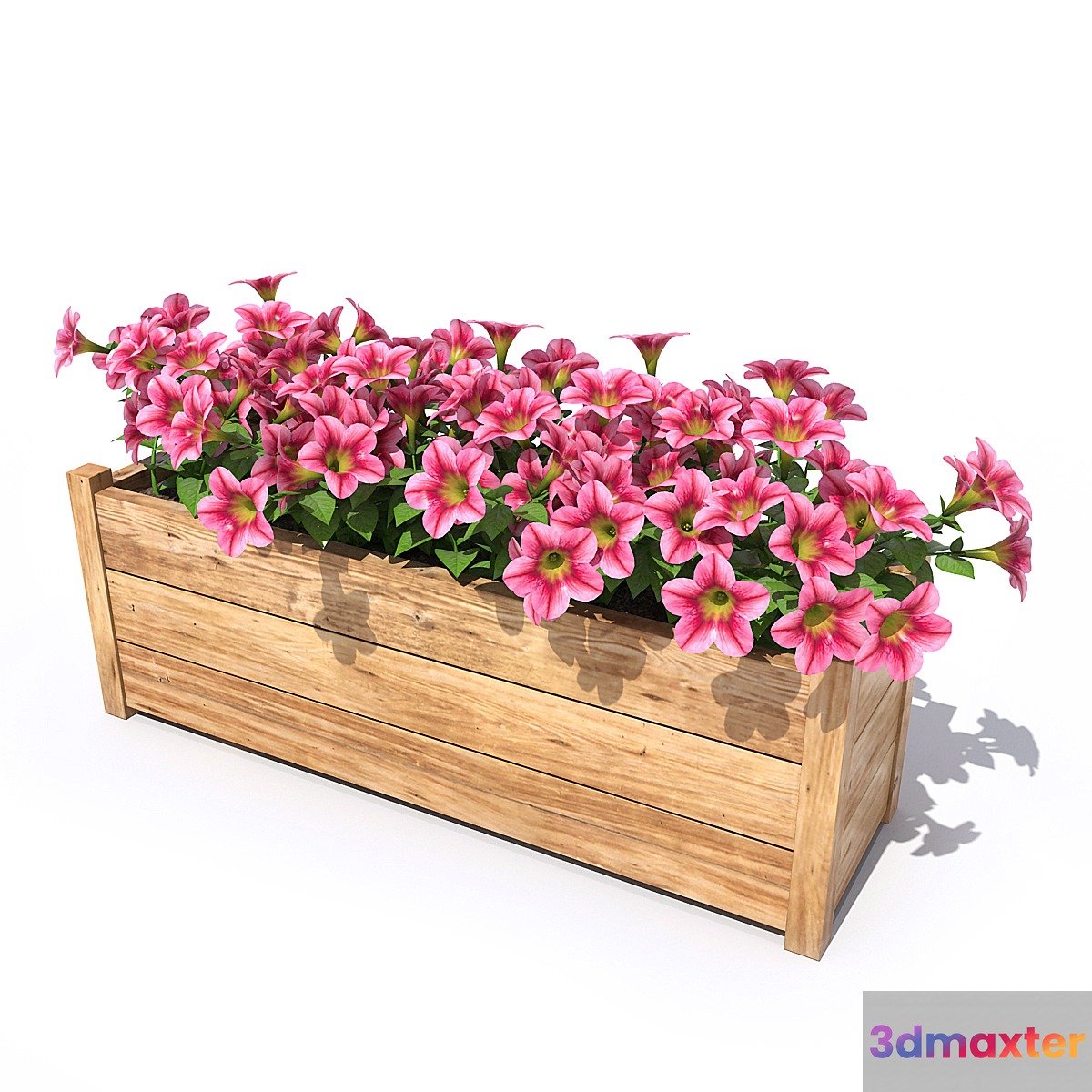 Petunia 3D Max