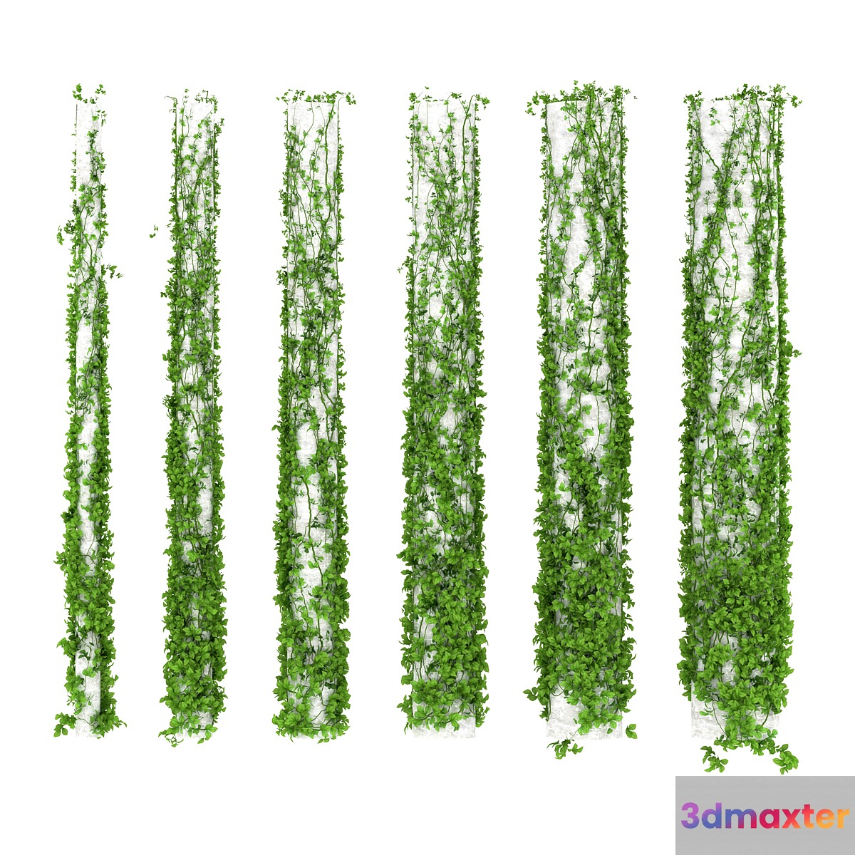 Leaves for columns. 6 sizes - No.2