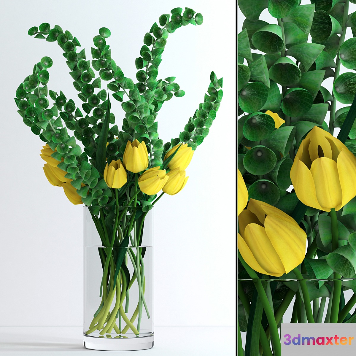 Yellow tulips and Moluccella 3D Max