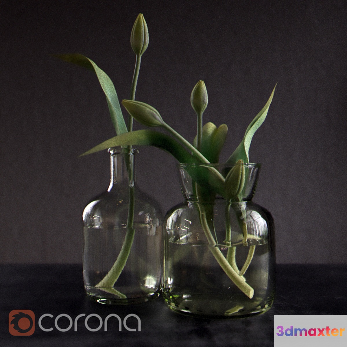 Green_tulips - No.2