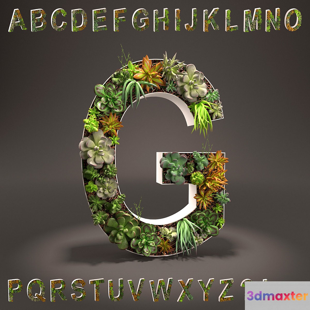 Alphabet made of sedum - alphabet from sedum