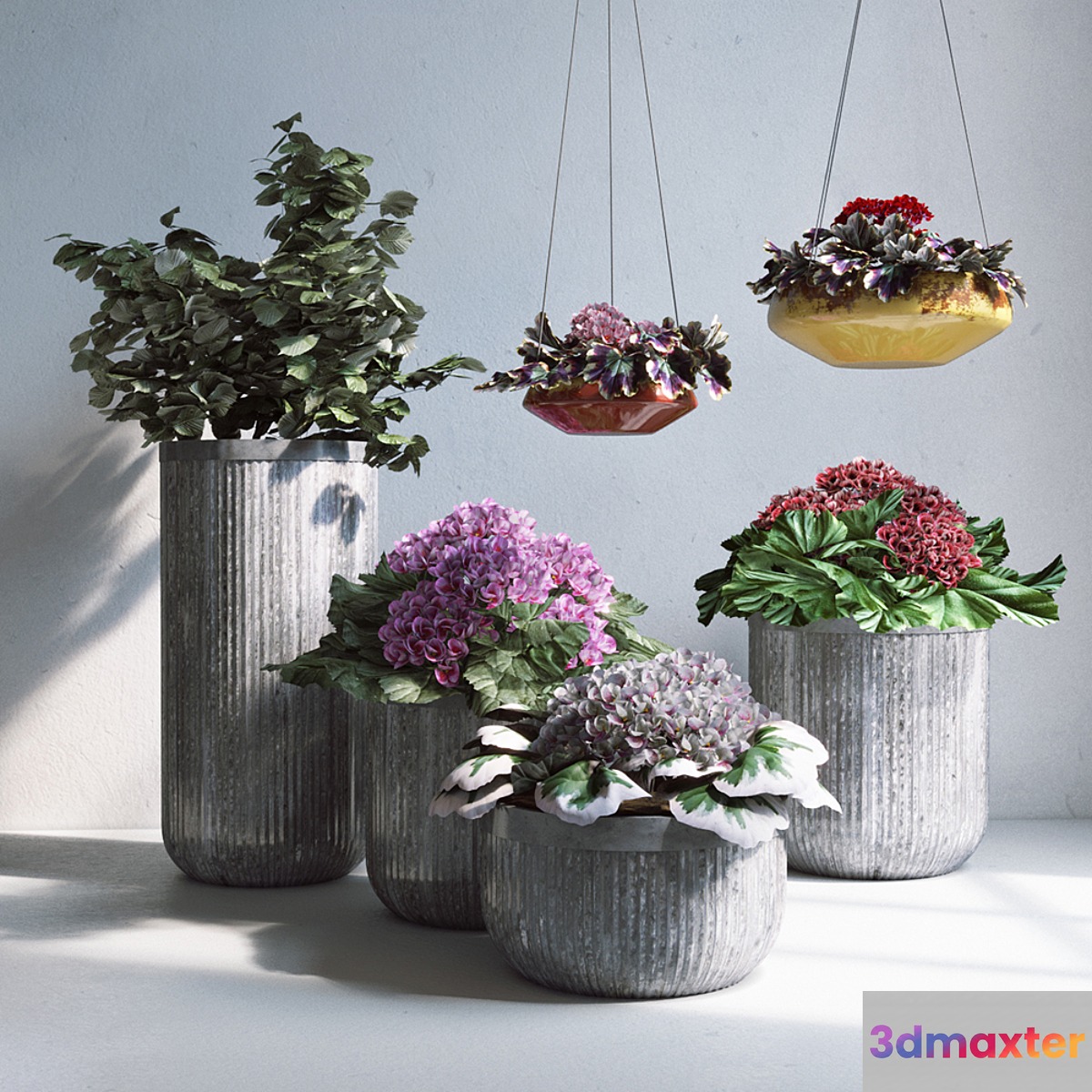 Pottery Barn_Planters