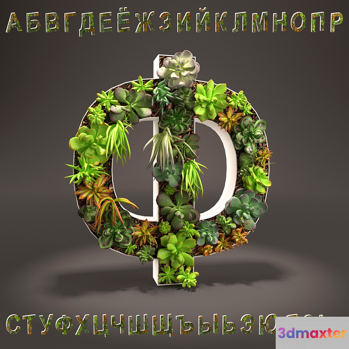 Russian alphabet of sedum - Russian alphabet from sedum
