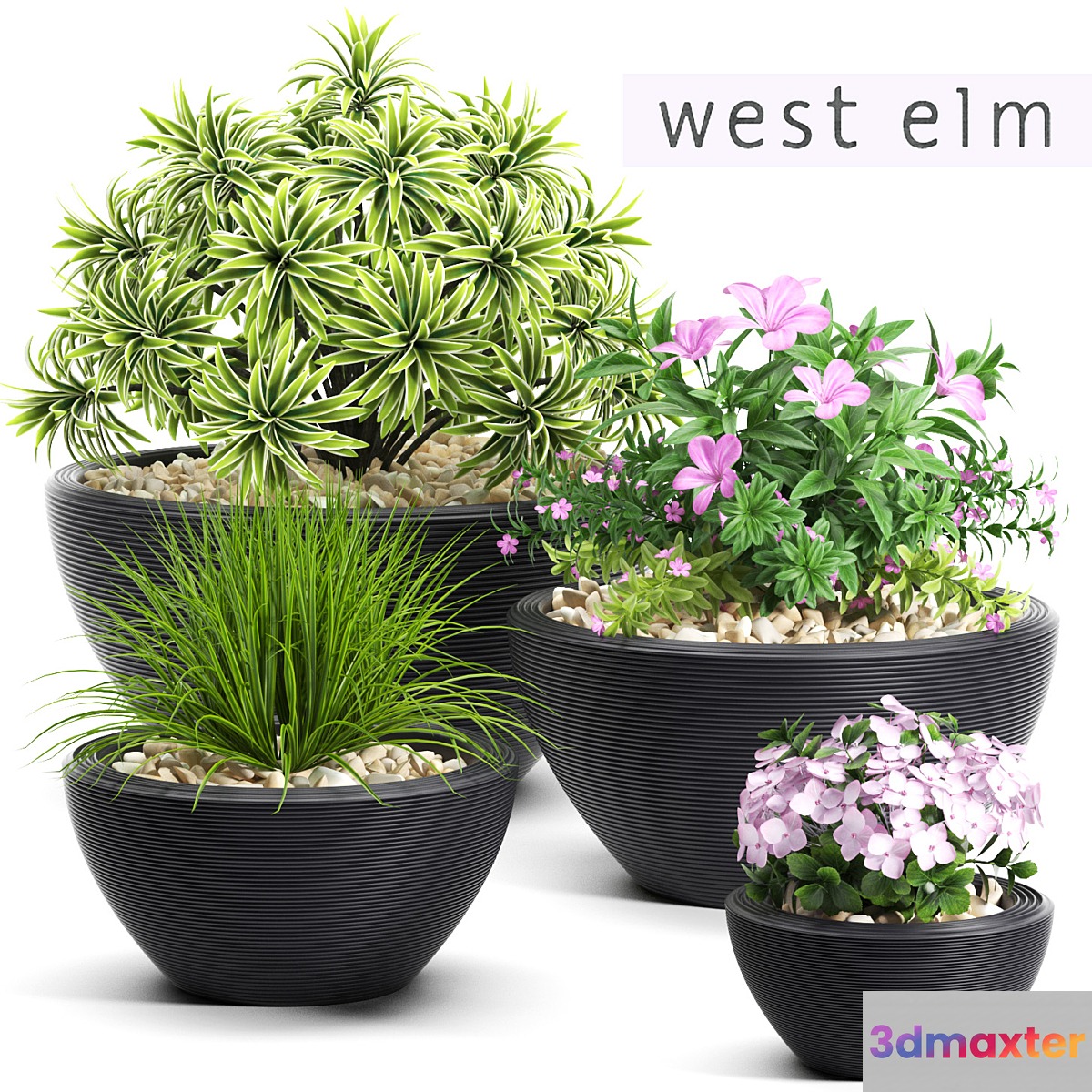 PLANTS 54 - No.2