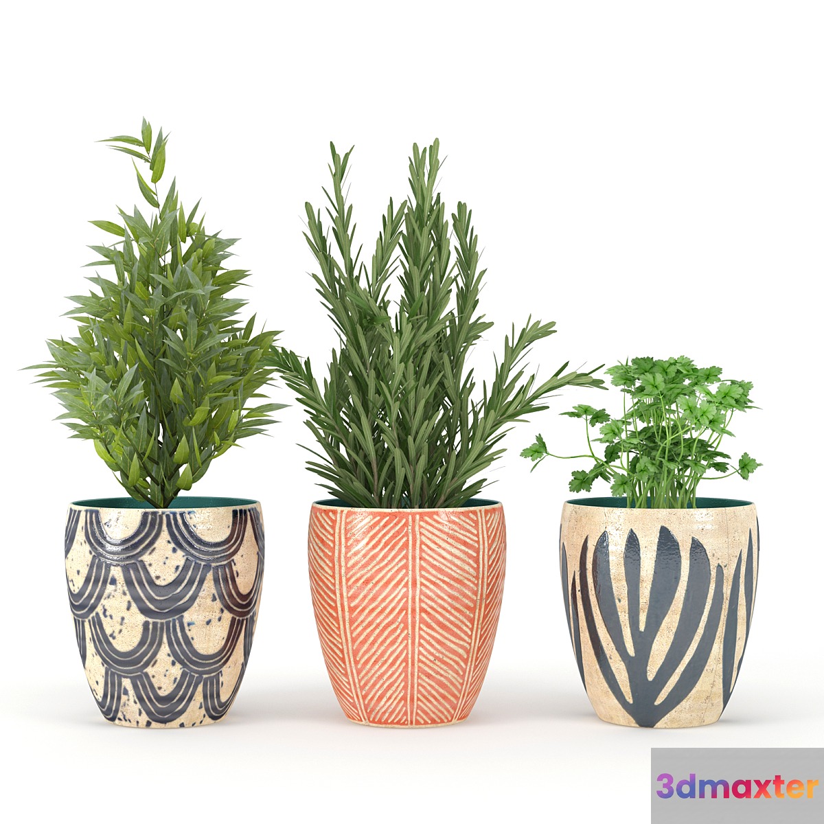 Kitchen_Plant - No.2