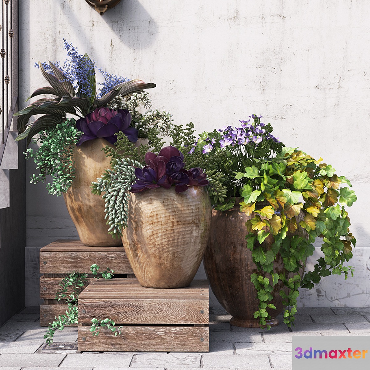 Summer in pots - No.2