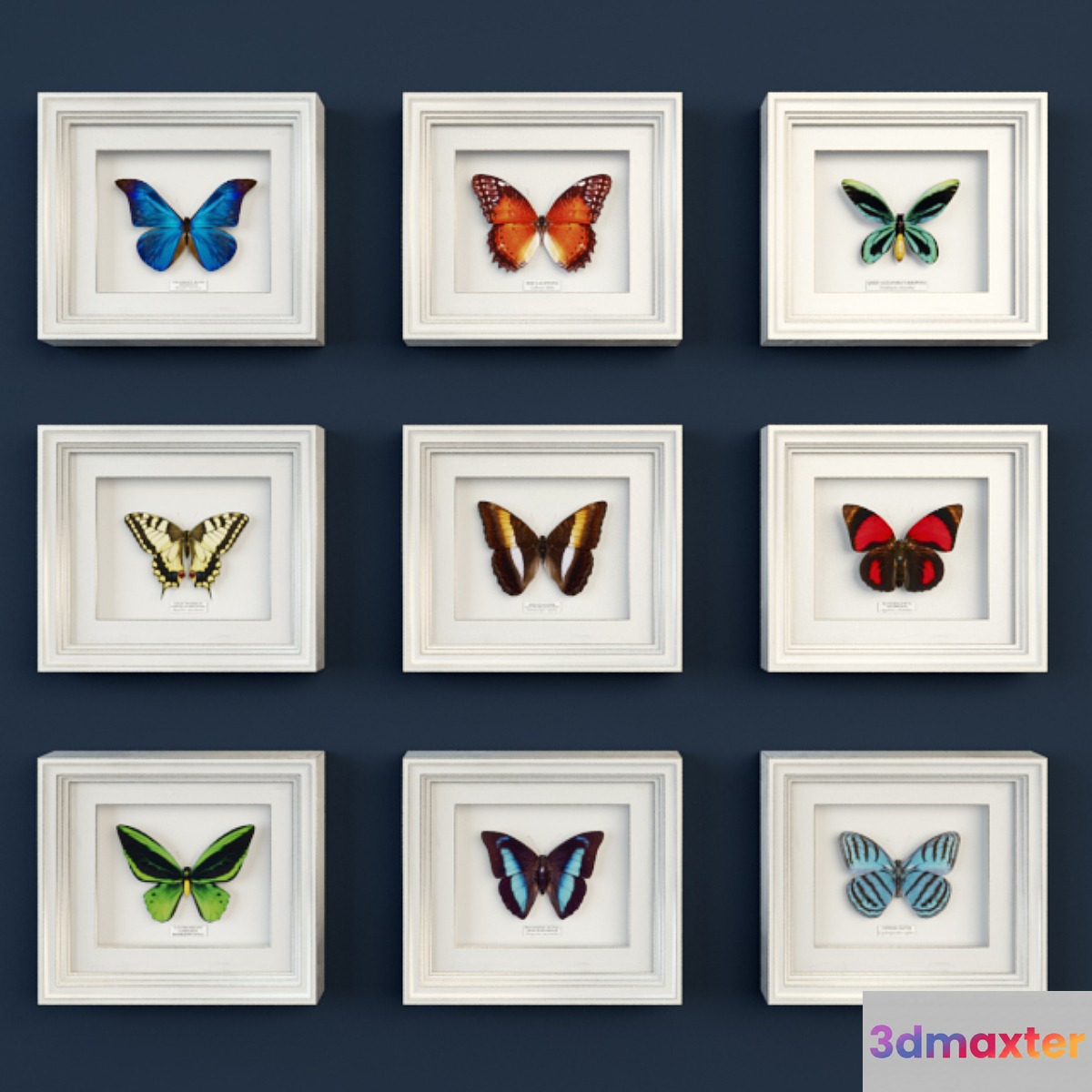 Decorative set of butterflies