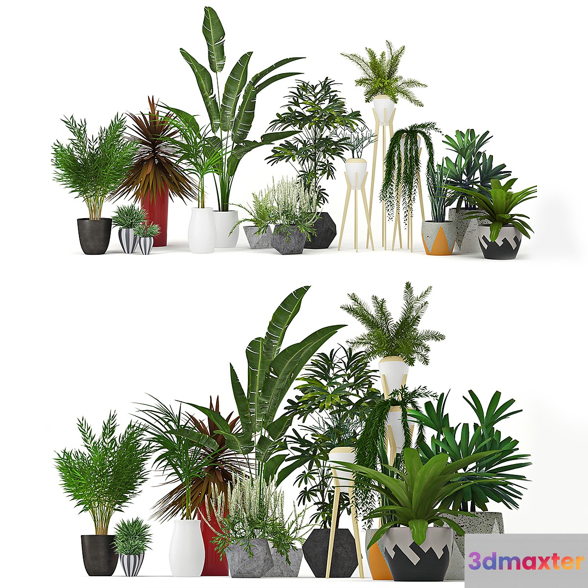 Plants Collection