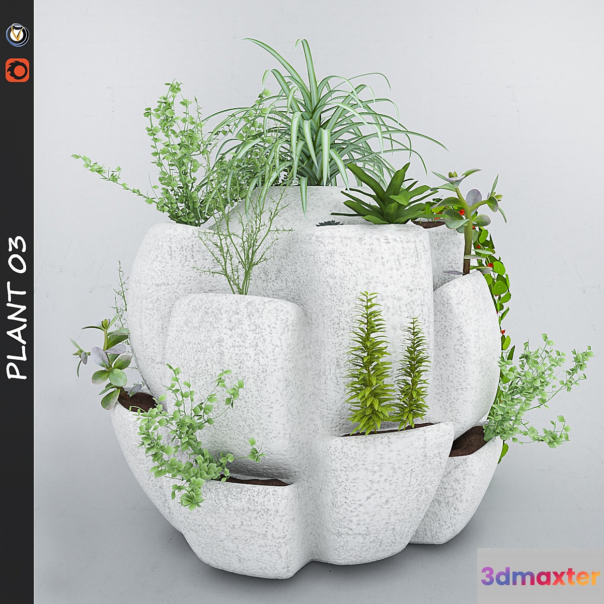 Plant 3 - No.4