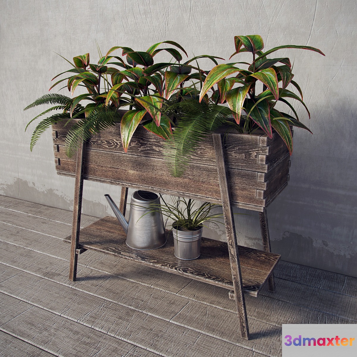 Terrace plants