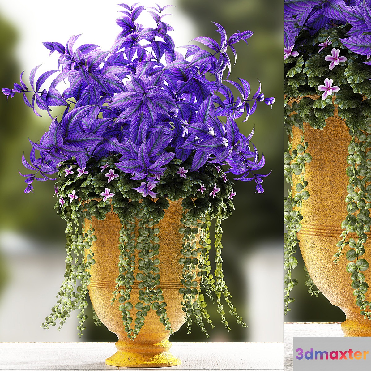 PLANTS 56 3D Max