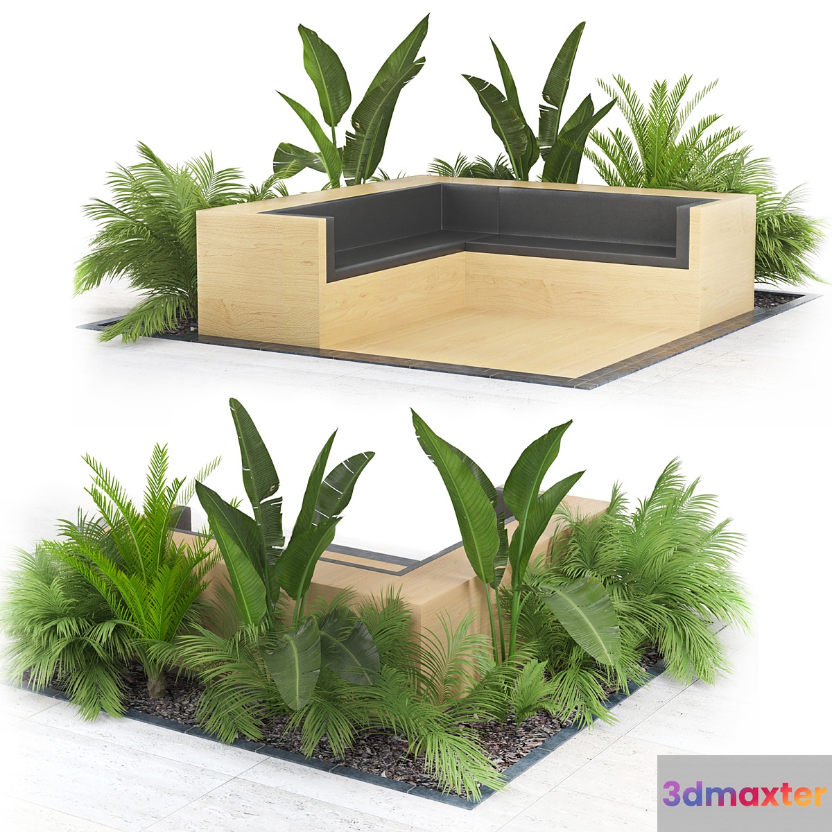 Flowerbed_Palm